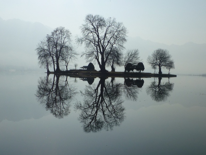 Dal Lake: Golden Island